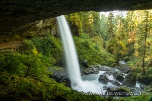 North-Falls-Silver-Falls-State-Park-Oregon-300x200 North Falls