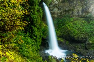 North-Falls-Silver-Falls-State-Park-Oregon-5-300x200 North Falls
