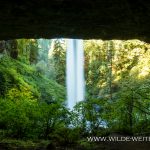 North-Falls-Silver-Falls-State-Park-Oregon North Falls [Silver Falls State Park]