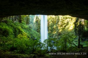 North-Falls-Silver-Falls-State-Park-Oregon-9-300x200 North Falls