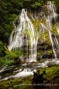 Panther-Creek-Falls-Gifford-Pinchot-National-Forest-Washington-10-200x300 Panther Creek Falls