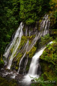 Panther-Creek-Falls-Gifford-Pinchot-National-Forest-Washington-12-200x300 Panther Creek Falls