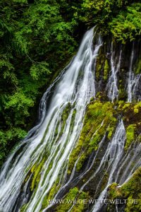 Panther-Creek-Falls-Gifford-Pinchot-National-Forest-Washington-16-200x300 Panther Creek Falls