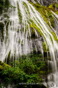 Panther-Creek-Falls-Gifford-Pinchot-National-Forest-Washington-19-200x300 Panther Creek Falls