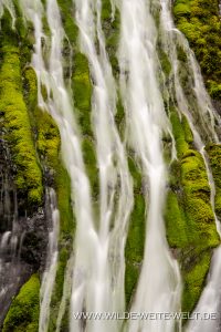 Panther-Creek-Falls-Gifford-Pinchot-National-Forest-Washington-20-200x300 Panther Creek Falls
