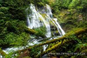 Panther-Creek-Falls-Gifford-Pinchot-National-Forest-Washington-28-300x200 Panther Creek Falls