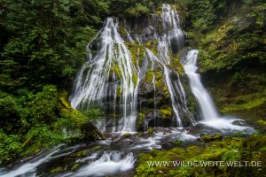 Panther-Creek-Falls-Gifford-Pinchot-National-Forest-Washington-300x200 Panther Creek Falls