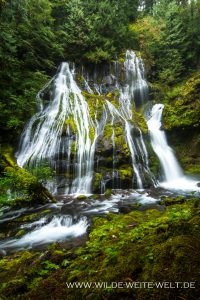 Panther-Creek-Falls-Gifford-Pinchot-National-Forest-Washington-6-200x300 Panther Creek Falls