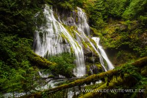 Panther-Creek-Falls-Gifford-Pinchot-National-Forest-Washington-8-300x200 Panther Creek Falls