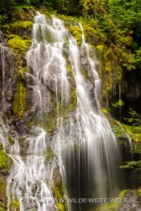 Panther-Creek-Falls-Gifford-Pinchot-National-Forest-Washington-9-200x300 Panther Creek Falls
