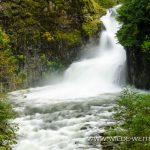 Skoonichuk Falls - Eagle Creek, Columbia River Gorge, Oregon