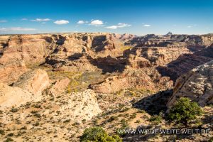 Wedge-Overlook-San-Raffael-Swell-Castle-Dale-Utah-300x200 Wedge Overlook