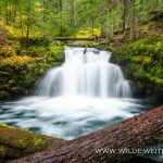 Whitehorse Falls - Umpqua National Forest, Oregon