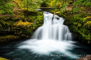Whitehorse-Falls-Umpqua-National-Forest-Oregon-3-300x199 Whitehorse Falls