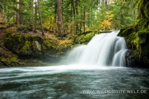 Whitehorse-Falls-Umpqua-National-Forest-Oregon-6-300x199 Whitehorse Falls