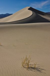 Eureka-Sand-Dunes-Death-Valley-Nationalpark-California-107-199x300 Eureka Sand Dunes