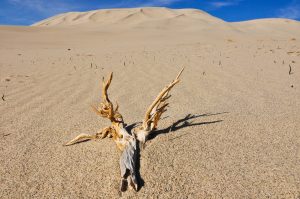 Eureka-Sand-Dunes-Death-Valley-Nationalpark-California-112-300x199 Eureka Sand Dunes