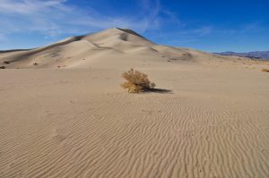 Eureka-Sand-Dunes-Death-Valley-Nationalpark-California-115-300x199 Eureka Sand Dunes