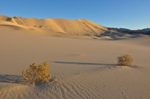 Eureka-Sand-Dunes-Death-Valley-Nationalpark-California-45-300x199 Eureka Sand Dunes