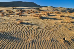 Eureka-Sand-Dunes-Death-Valley-Nationalpark-California-54-300x199 Eureka Sand Dunes