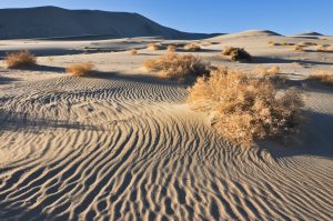 Eureka-Sand-Dunes-Death-Valley-Nationalpark-California-55-300x199 Eureka Sand Dunes