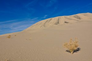 Eureka-Sand-Dunes-Death-Valley-Nationalpark-California-85-300x199 Eureka Sand Dunes