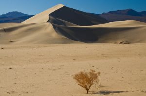 Eureka-Sand-Dunes-Death-Valley-Nationalpark-California-87-300x199 Eureka Sand Dunes