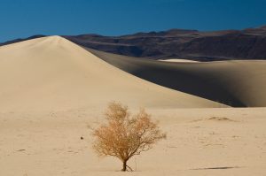 Eureka-Sand-Dunes-Death-Valley-Nationalpark-California-88-300x199 Eureka Sand Dunes