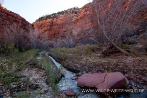 Hackberry-Canyon-Cottonwood-Canyon-Road-Grand-Staircase-Escalante-National-Monument-Utah-8-300x200 Hackberry Canyon
