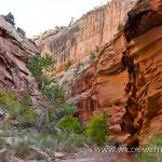 Lower-Hackberry-Canyon-Cottonwood-Canyon-Road-Grand-Staircase-Escalante-National-Monument-Utah-7 Hackberry Canyon und Sam Pollock Arch
