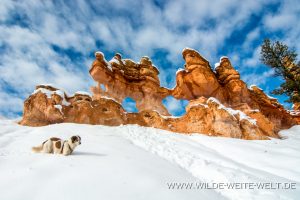 Mossy-Cave-Windows-Bryce-Canyon-Nationalpark-Utah-9-300x200 Mossy Cave Windows