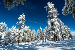 Winter-Scenery-Bryce-Canyon-Nationalpark-Utah-3-300x200 Winter Scenery