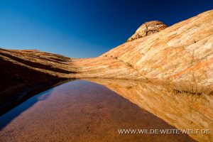 Yant-Flat-Dixie-National-Forest-Leeds-Utah-14-300x200 Yant Flat