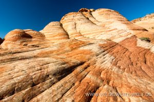 Yant-Flat-Dixie-National-Forest-Leeds-Utah-15-300x200 Yant Flat
