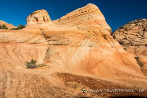 Yant-Flat-Dixie-National-Forest-Leeds-Utah-185-300x200 Yant Flat