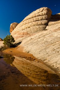 Yant-Flat-Dixie-National-Forest-Leeds-Utah-2-200x300 Yant Flat