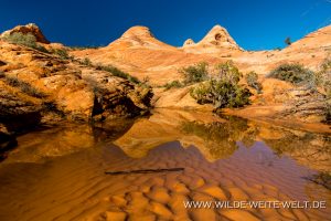 Yant-Flat-Dixie-National-Forest-Leeds-Utah-23-300x200 Yant Flat