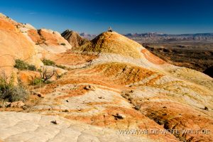 Yant-Flat-Dixie-National-Forest-Leeds-Utah-30-300x200 Yant Flat