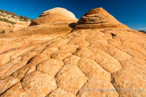 Yant-Flat-Dixie-National-Forest-Leeds-Utah-300x200 Yant Flat
