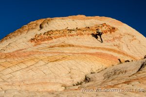 Yant-Flat-Dixie-National-Forest-Leeds-Utah-38-300x200 Yant Flat