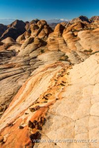 Yant-Flat-Dixie-National-Forest-Leeds-Utah-40-200x300 Yant Flat