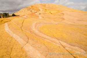 Yellow-Rock-Cottonwood-Canyon-Road-Grand-Staircase-Escalante-National-Monument-Utah-11-300x200 Yellow Rock
