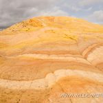 Yellow-Rock-Cottonwood-Canyon-Road-Grand-Staircase-Escalante-National-Monument-Utah-8 Yellow Rock