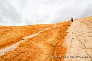 Yellow-Rock-Cottonwood-Canyon-Road-Grand-Staircase-Escalante-National-Monument-Utah-153-300x200 Yellow Rock