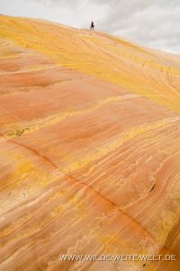 Yellow-Rock-Cottonwood-Canyon-Road-Grand-Staircase-Escalante-National-Monument-Utah-4-200x300 Yellow Rock