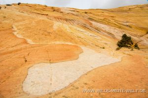 Yellow-Rock-Cottonwood-Canyon-Road-Grand-Staircase-Escalante-National-Monument-Utah-42-300x200 Yellow Rock