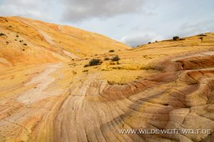 Yellow-Rock-Cottonwood-Canyon-Road-Grand-Staircase-Escalante-National-Monument-Utah-49-300x200 Yellow Rock