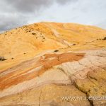 Yellow-Rock-Cottonwood-Canyon-Road-Grand-Staircase-Escalante-National-Monument-Utah-8 Yellow Rock