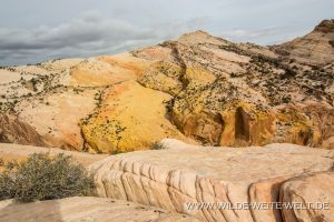 Yellow-Rock-Cottonwood-Canyon-Road-Grand-Staircase-Escalante-National-Monument-Utah-89-300x200 Yellow Rock
