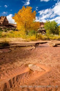 Clay-Patterns-Spring-Canyon-San-Rafael-Swell-Utah-2-199x300 Clay Patterns